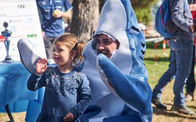 Les activitats de la MINI