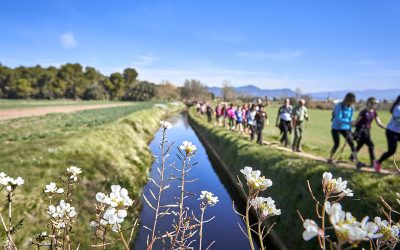 Hem passat l’equador de la Transéquia