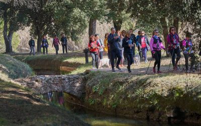 La Transéquia rep el segell B Greenly com a esdeveniment sostenible