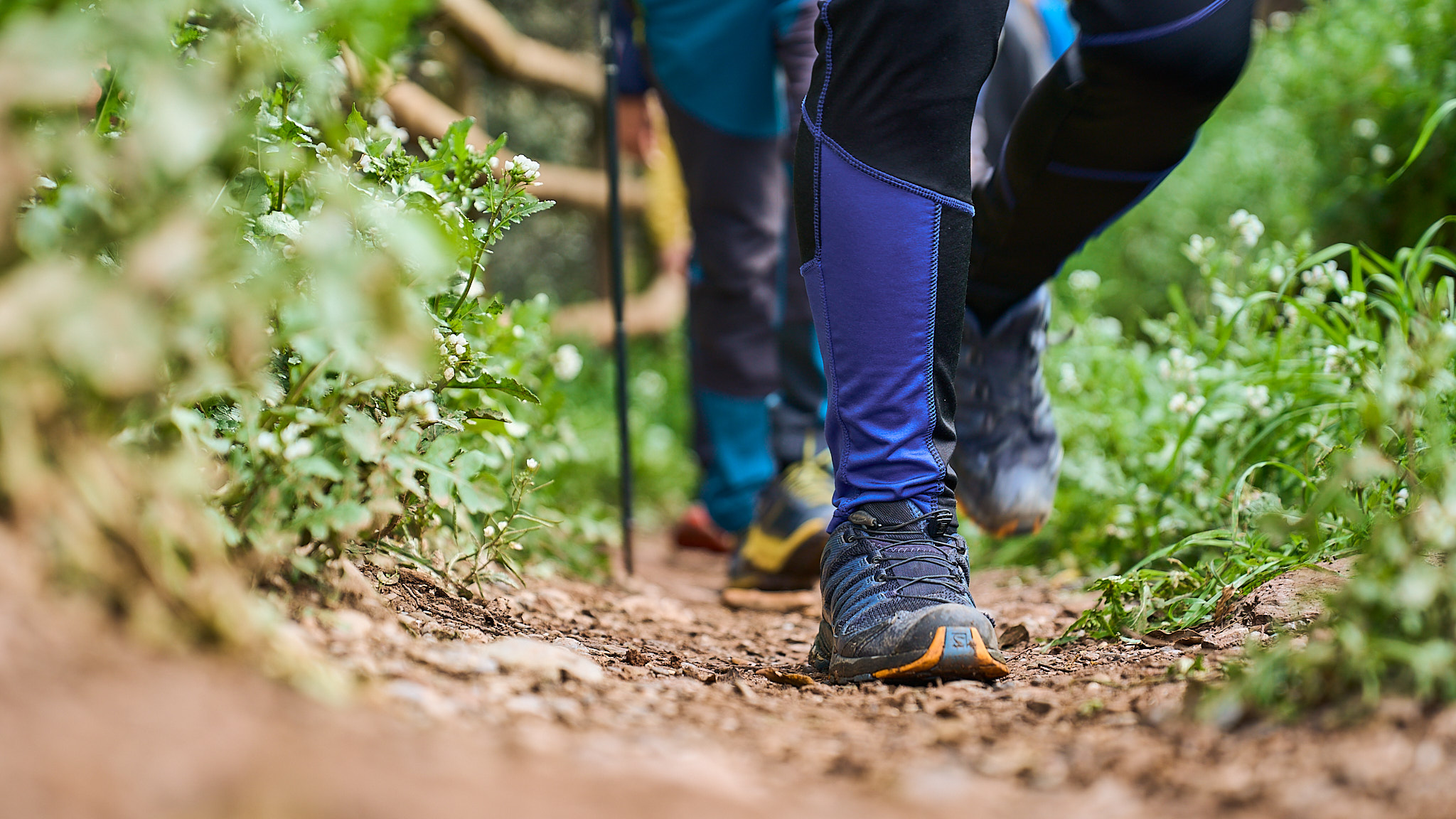 TRANSEQUIA-2025-63773 Fes-la amb amics