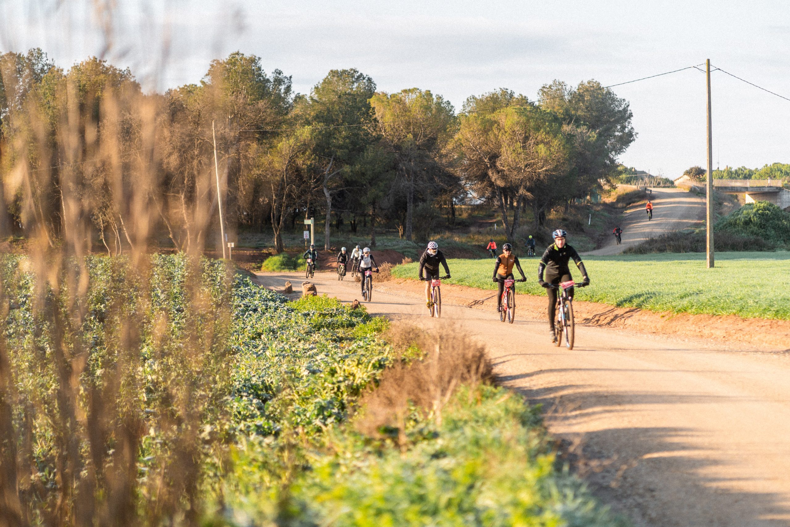 transequia-2025-03146 Pots fer la Transéquia en família